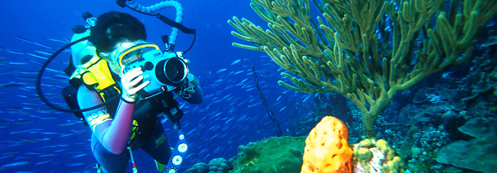 Cursus onderwater fotografie